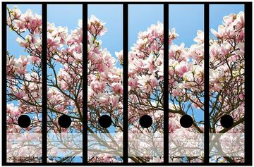 Wallario Etiketten Schöne rosa Magnolien-Blüten vor blauem Himmel, Ordnerrücken-Sticker in verschiedenen Ausführungen
