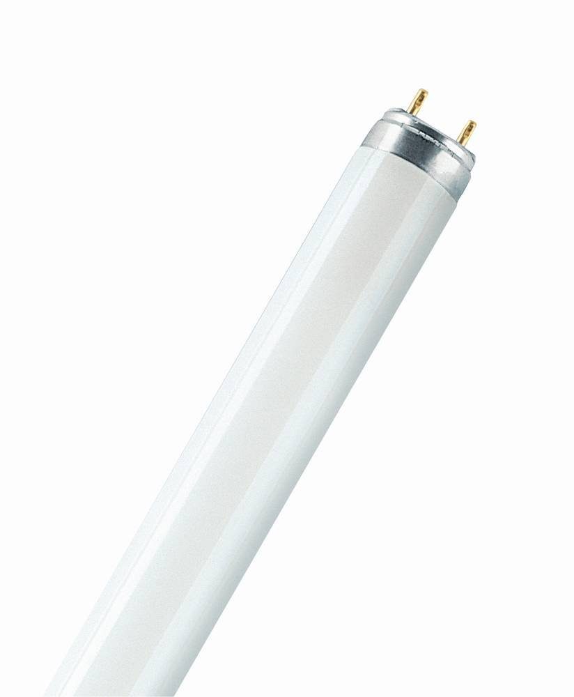 Osram Leuchtstofflampe G13 Röhrenform 30 W 2400 lm 90,9 x 2,55 cm (H x Ø) günstig online kaufen