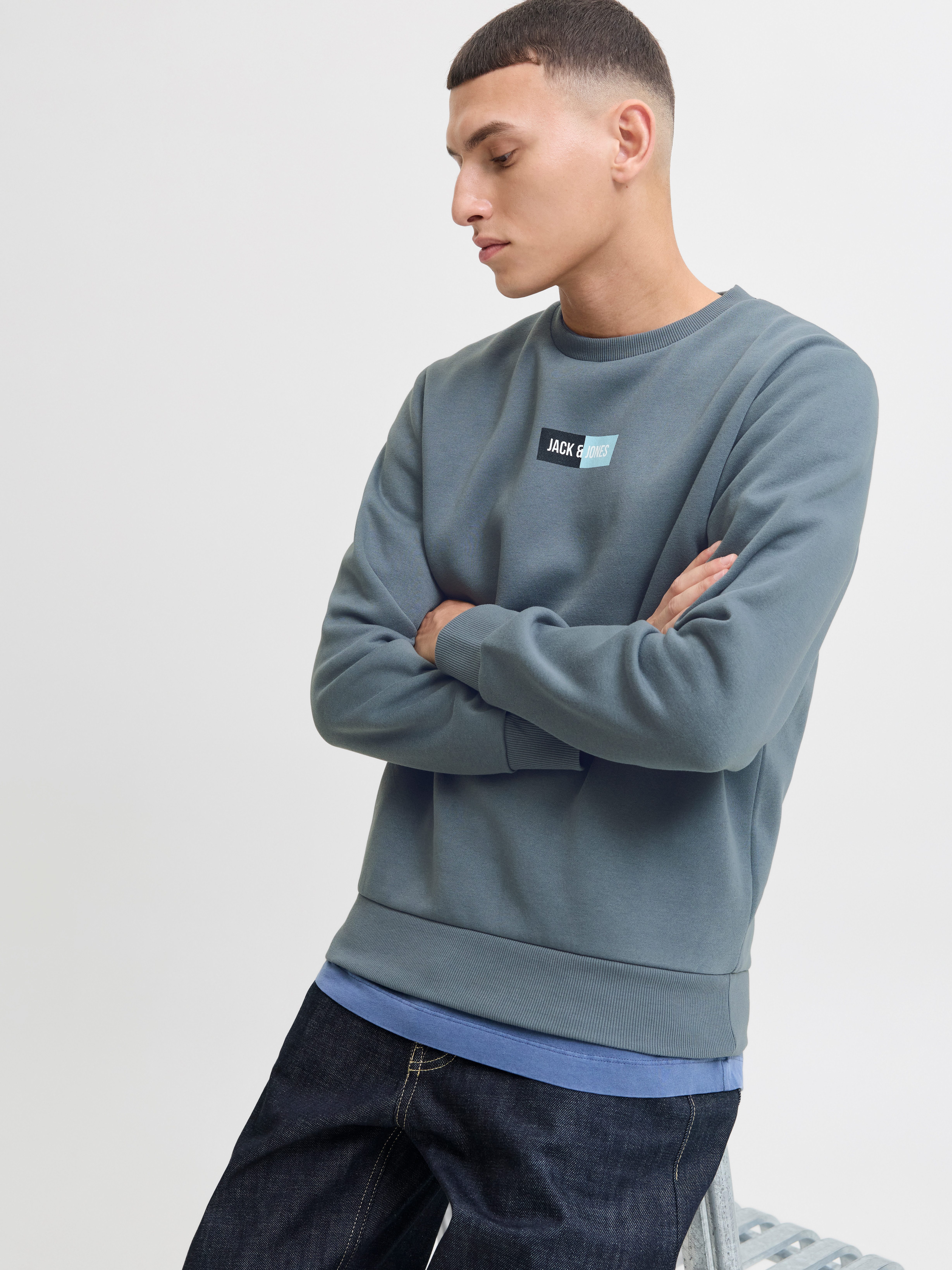 Jack & Jones Sweater JJPAN SWEAT CREW NECK günstig online kaufen