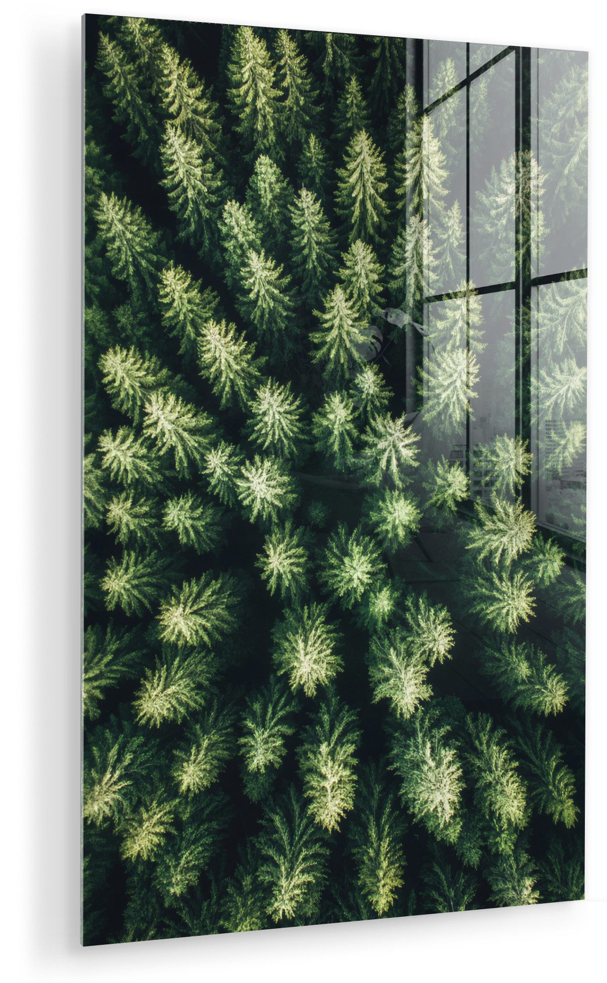 MuchoWow Acrylglasbild Bäume - Nadelwälder - Struktur, Inkl. Aufhängung, Dekorative Bild für Küche & Wohnzimmer auf Glas, 20x30 cm