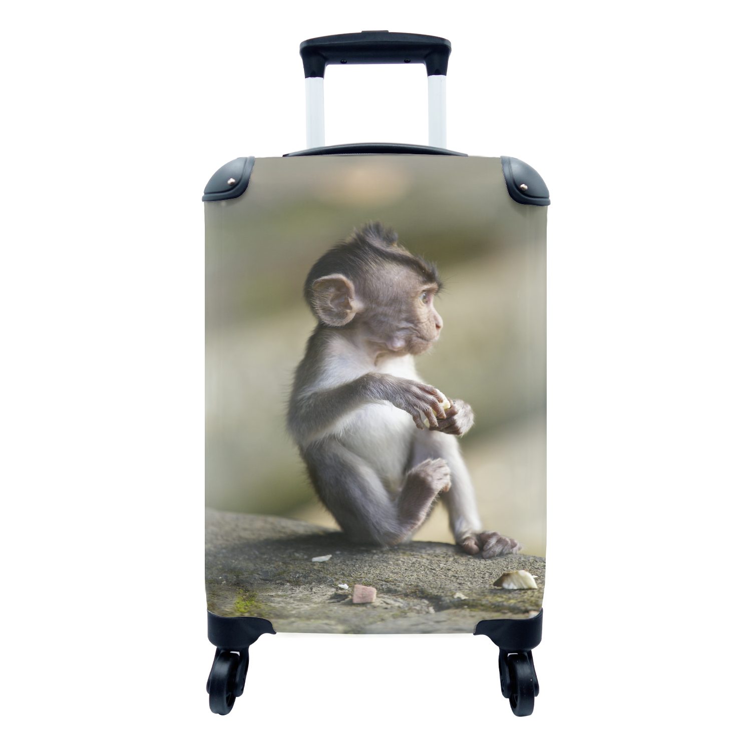MuchoWow Handgepäckkoffer Ein Affenbaby sitzt auf einem Felsen, 4 Rollen, Reisetasche mit rollen, Handgepäck für Ferien, Trolley, Reisekoffer