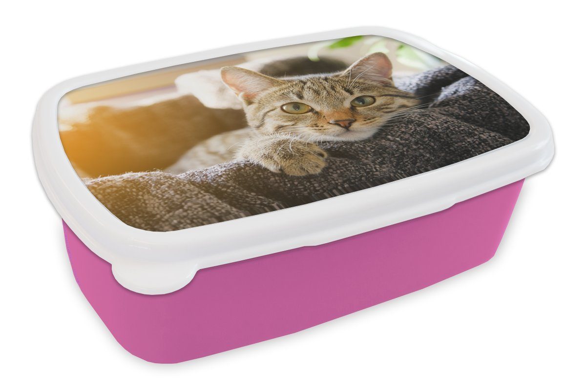 MuchoWow Lunchbox Katze - Korb - Vorleger, Kunststoff, (2-tlg), Brotbox für Erwachsene, Brotdose Kinder, Snackbox, Mädchen, Kunststoff rosa