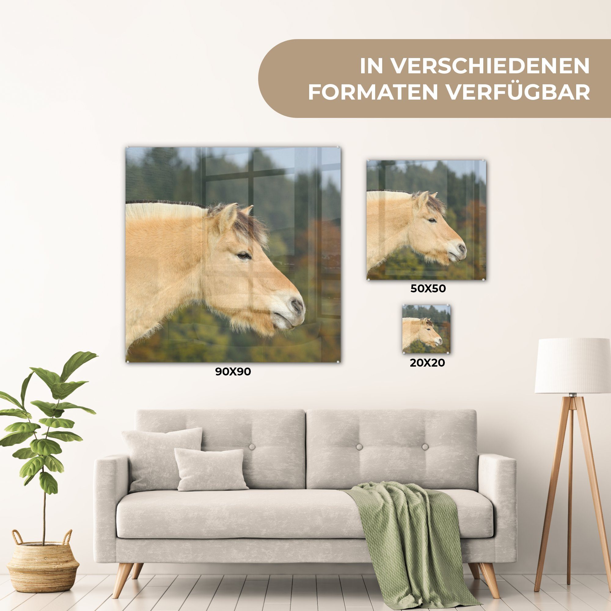 Fjordpferdes, auf MuchoWow eines (1 Wanddekoration auf Wandbild Glas Glasbilder Foto - hellbraunen Acrylglasbild Bilder Nahaufnahme - - Glas St),