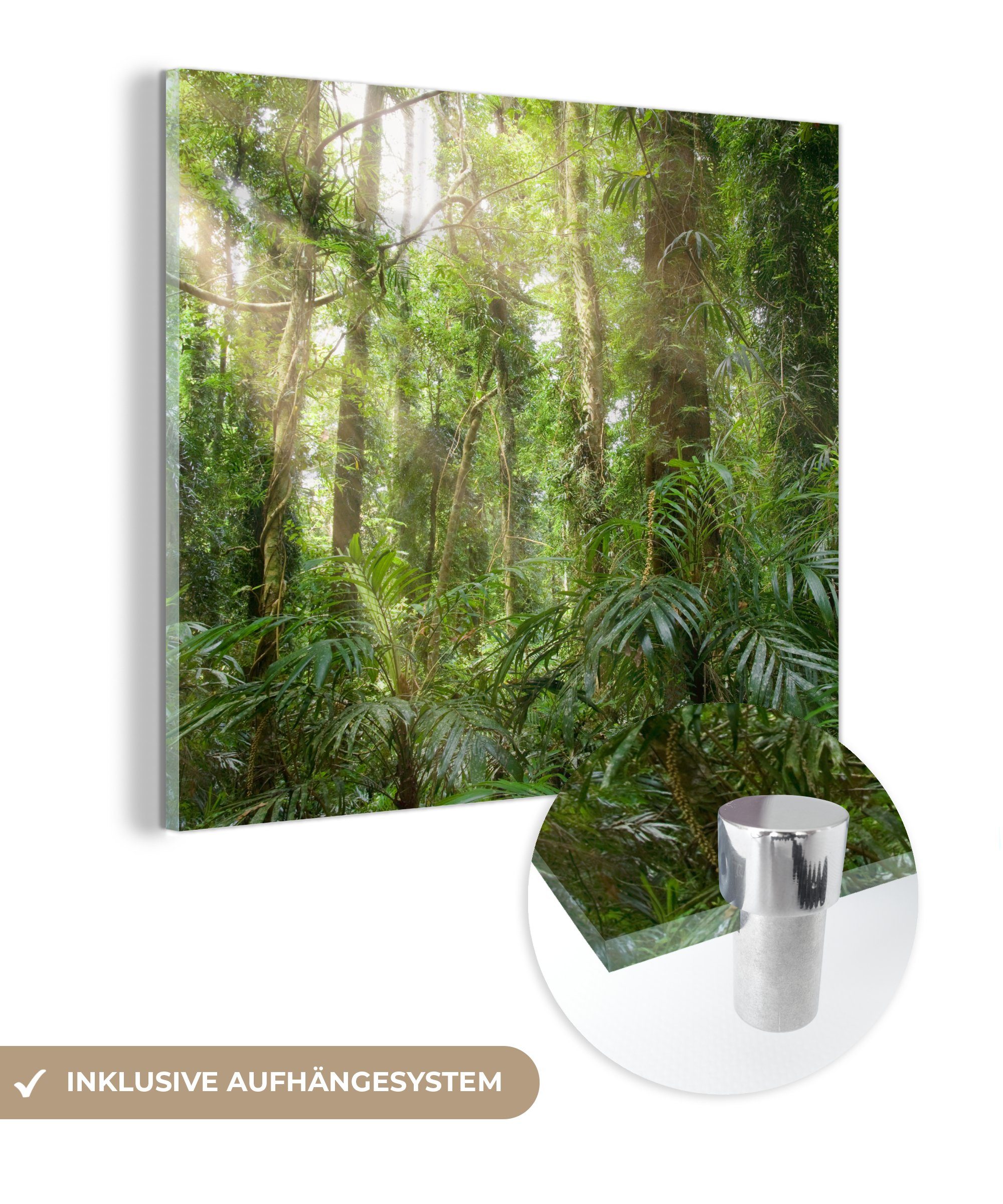 MuchoWow Acrylglasbild Licht im Wald, (1 St), Glasbilder - Bilder auf Glas Wandbild - Foto auf Glas - Wanddekoration bunt