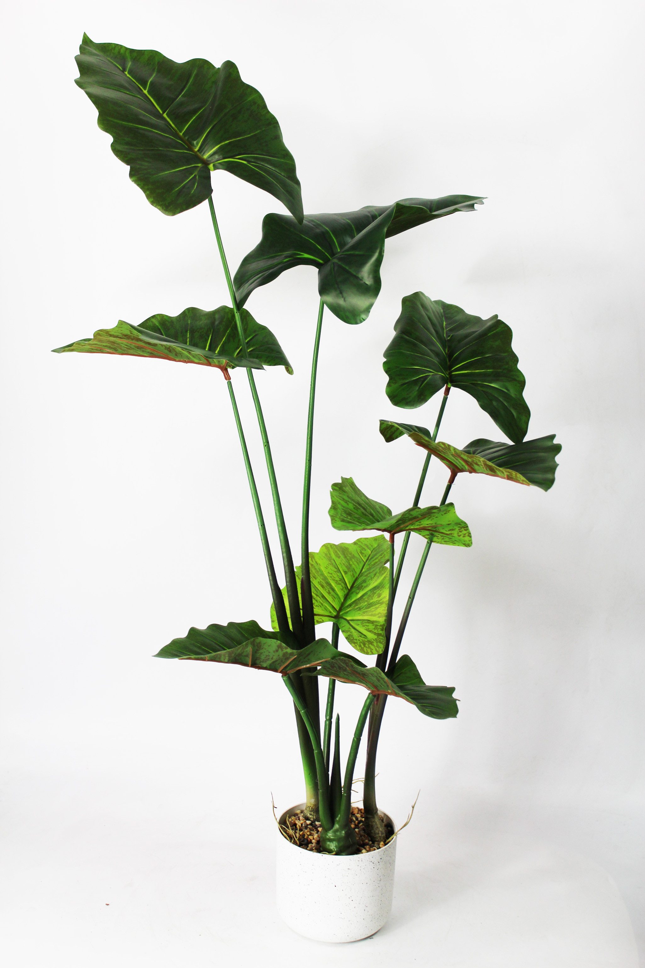 Kunstpflanze Künstliches Elefantenohr Deko Pflanze Zimmerpflanze Alocasia S günstig online kaufen