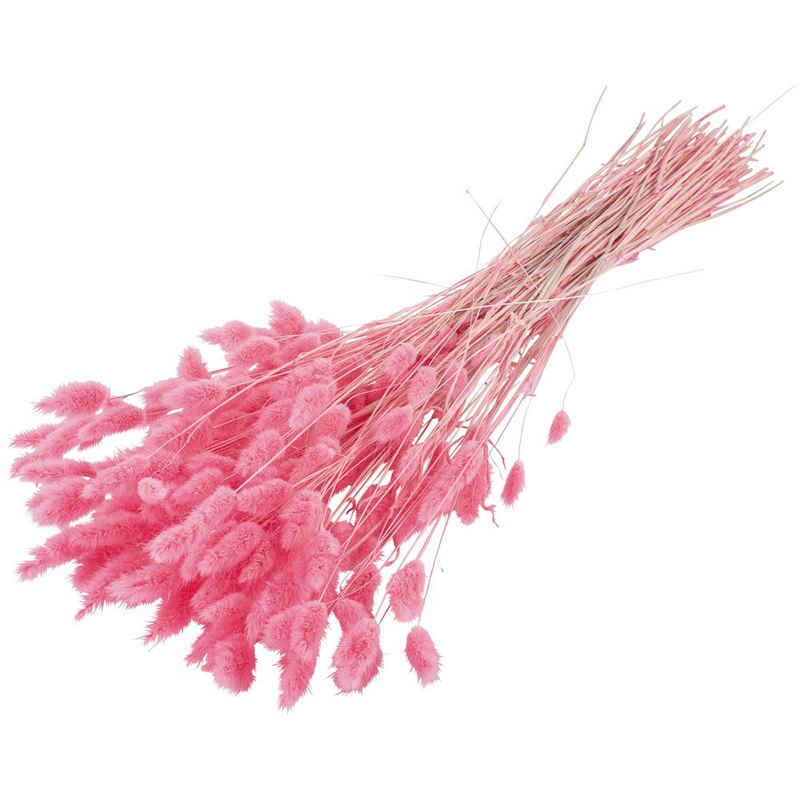 Kunstblume Trockenblumen Deko Bund Lagurus gefärbt rosa Lagurus, matches21 HOME & HOBBY, Höhe 0 cm