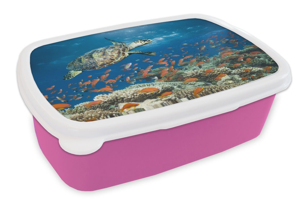 MuchoWow Lunchbox Korallenriff mit Schildkröte, Kunststoff, (2-tlg), Brotbox für Erwachsene, Brotdose Kinder, Snackbox, Mädchen, Kunststoff rosa