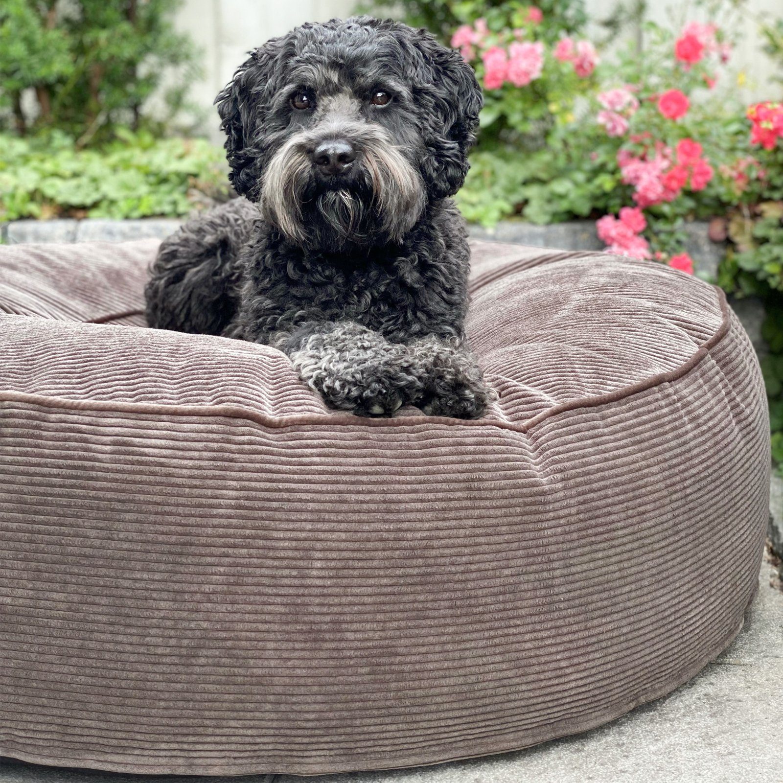 Mr. Cuddles Tierbett Lilly, Rundes Hundekissen, waschbarer Kord-Bezug, Trag günstig online kaufen