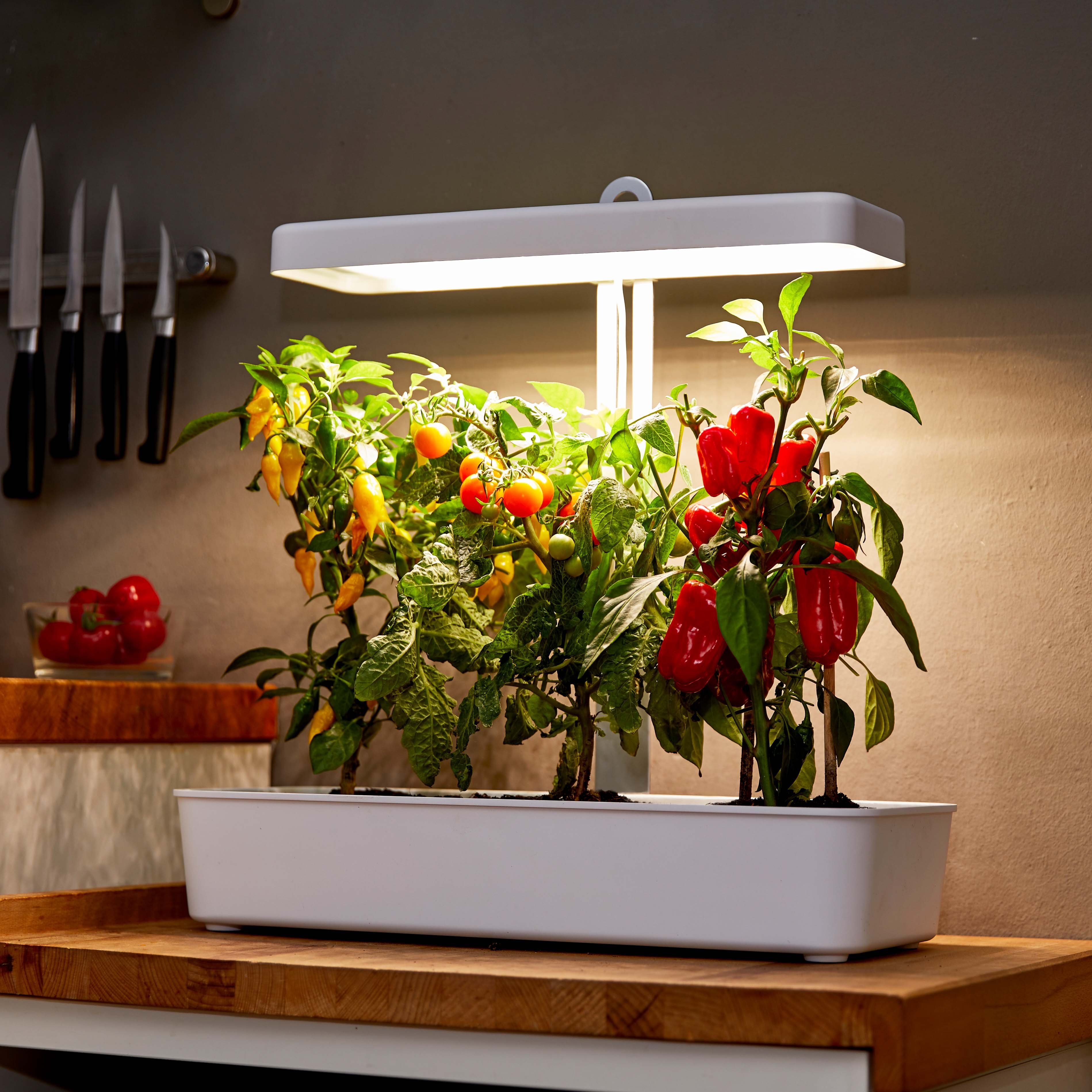 Northpoint Pflanzenlampe Northpoint LED Hydroponik Anzuchtsystem 20W Pflanzenlampe – Bild 5 von 5
