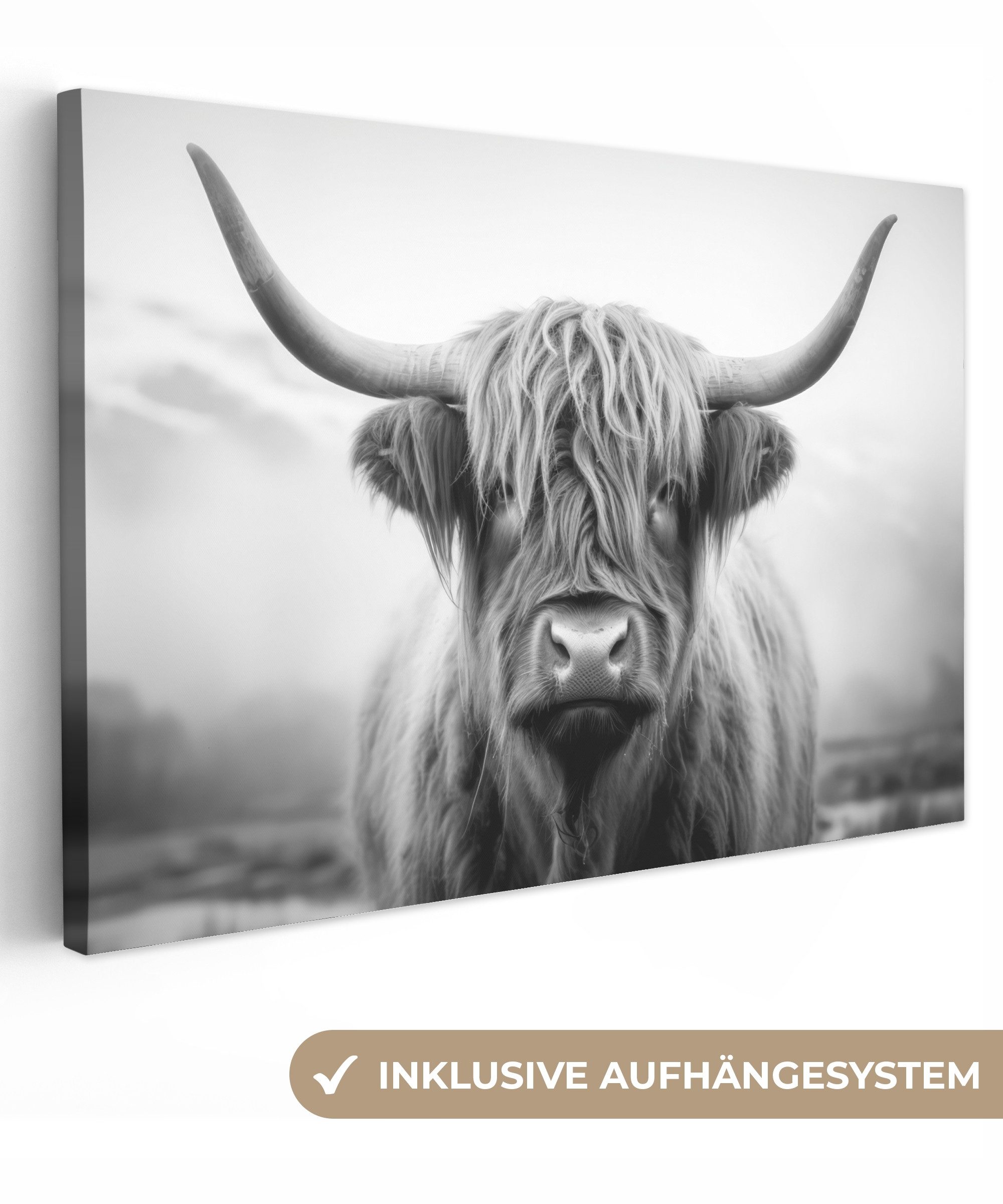 OneMillionCanvasses® Leinwandbild Schottischer Highlander - Tierportrait - Schwarz - Weiß - Tier, Schwarz - Schottischer Highlander (1 St), Leinwand Bilder Klein, Wand Dekoration 30x20 cm