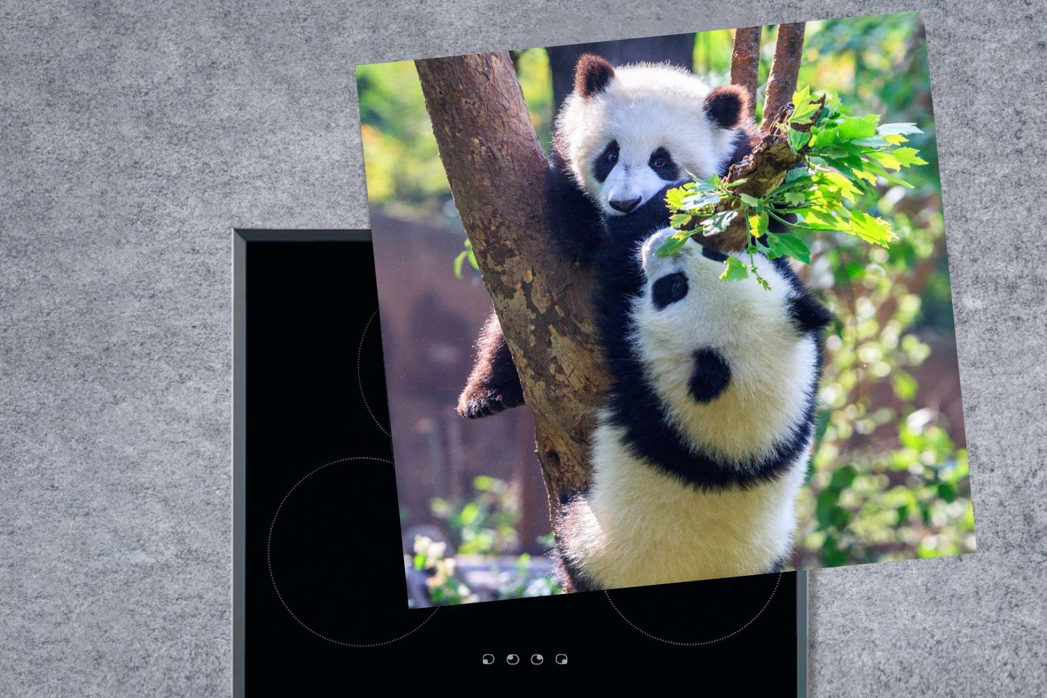 tlg), cm, Ceranfeldabdeckung, für - Herdblende-/Abdeckplatte MuchoWow Pandas Arbeitsplatte 78x78 (1 Baum Vinyl, Natur, - küche
