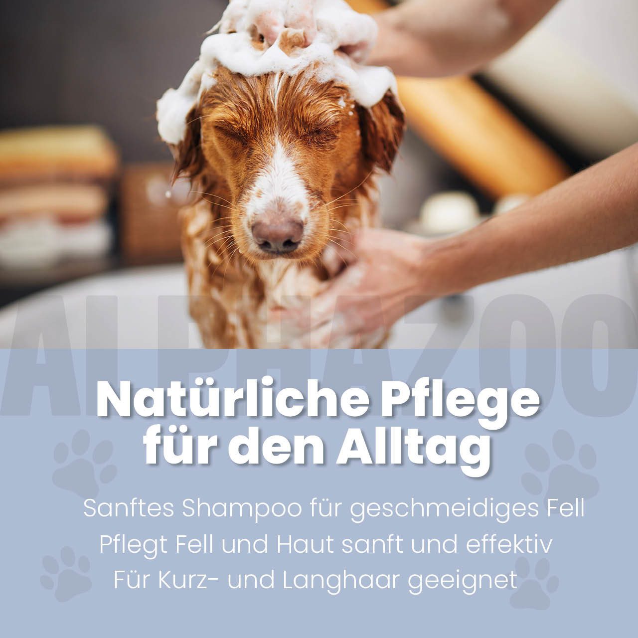 ALPHAZOO Tiershampoo Coco Loco Shampoo für Hunde 250 ml, 250 ml, (1-St), Kokos-Hundeshampoo für glänzendes Fell