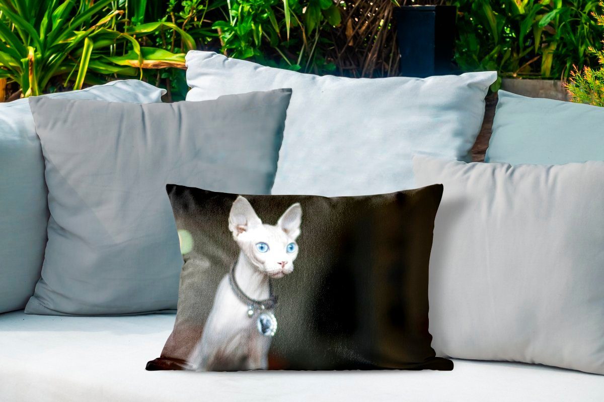 Augen, Sphynx-Katze Outdoor-Dekorationskissen, Dekokissen blauen mit MuchoWow auffallend Kissenhülle Polyester, Dekokissenbezug,