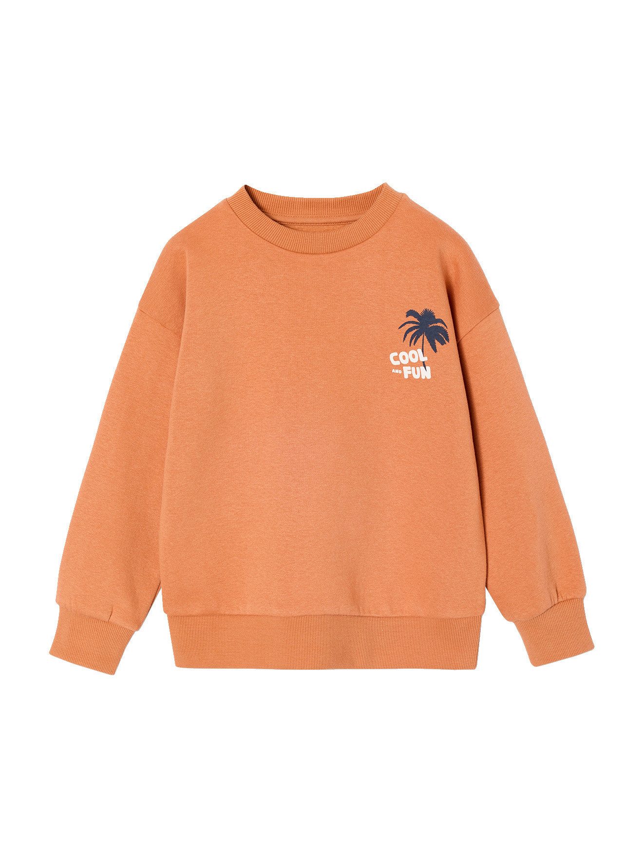 vertbaudet Fleecepullover Sweatshirts Cool & Fun Jungen 2er-Pack