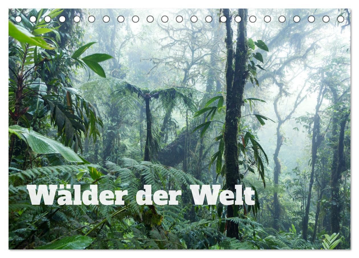 CALVENDO Wandkalender Wälder der Welt (Tischkalender 2026 DIN A5 quer), CALVENDO Monatskalen