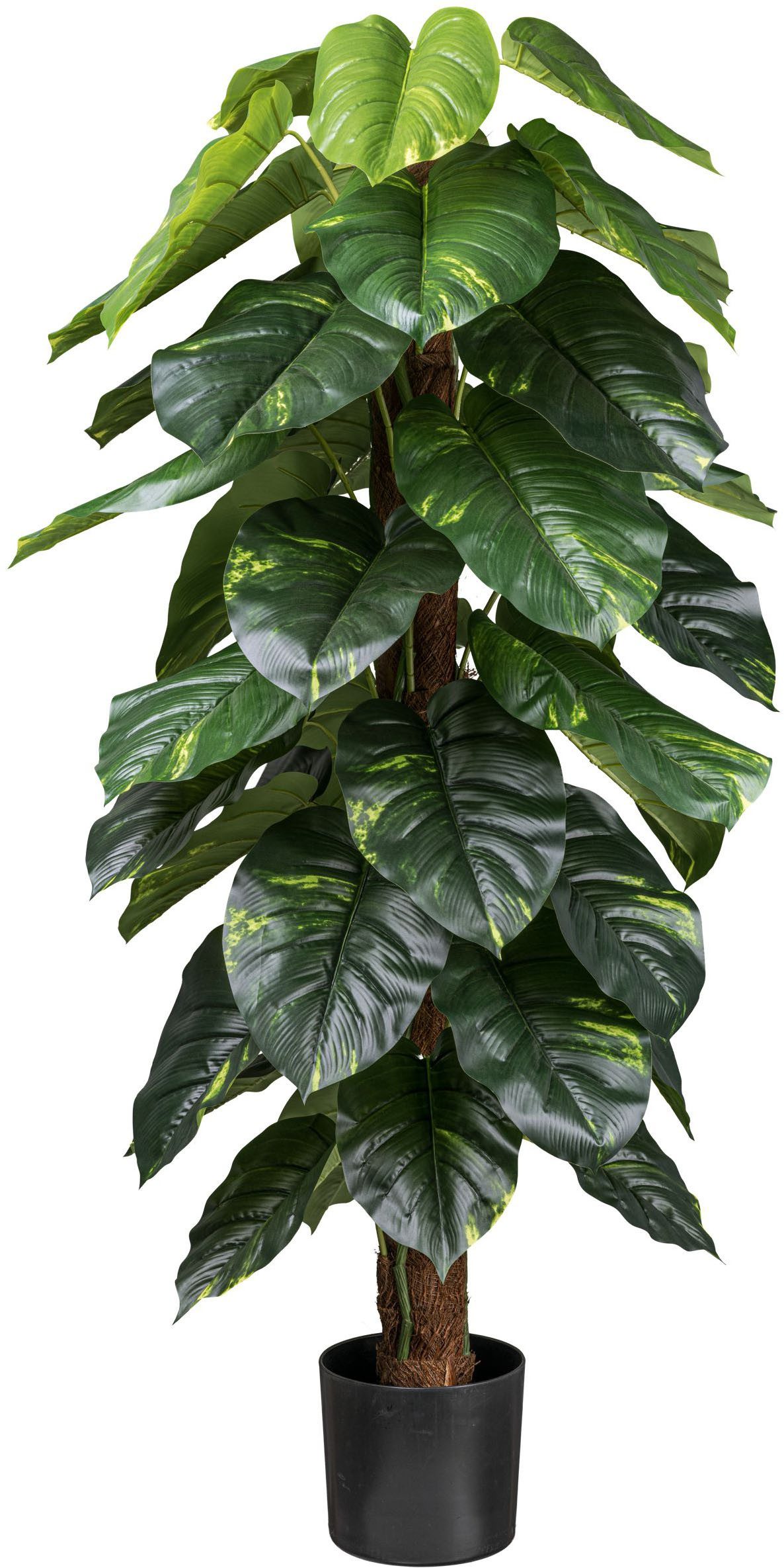 Künstliche Zimmerpflanze Philodendron Scandens Grünpflanze, Creativ günstig online kaufen