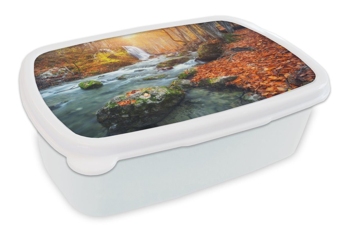 MuchoWow Lunchbox Natur - Sonne - Herbst, Kunststoff, (2-tlg), Brotbox für Kinder und Erwachsene, Brotdose, für Jungs und Mädchen weiß