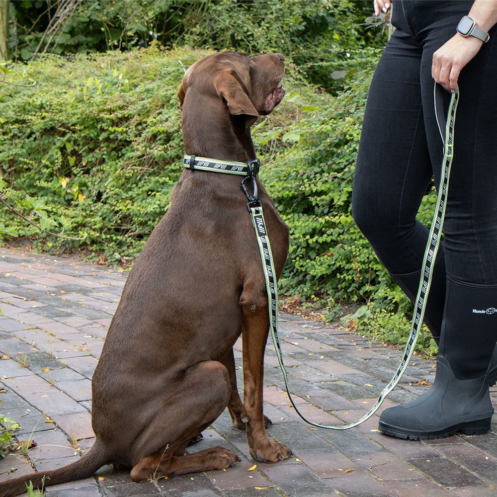 FuzzYard LIFE Führleine FuzzYard Active Hunde Cityleine - Hundeleine, Nylon (1-tlg), schwarze Beschläge, komplett mit Neopren unterlegt