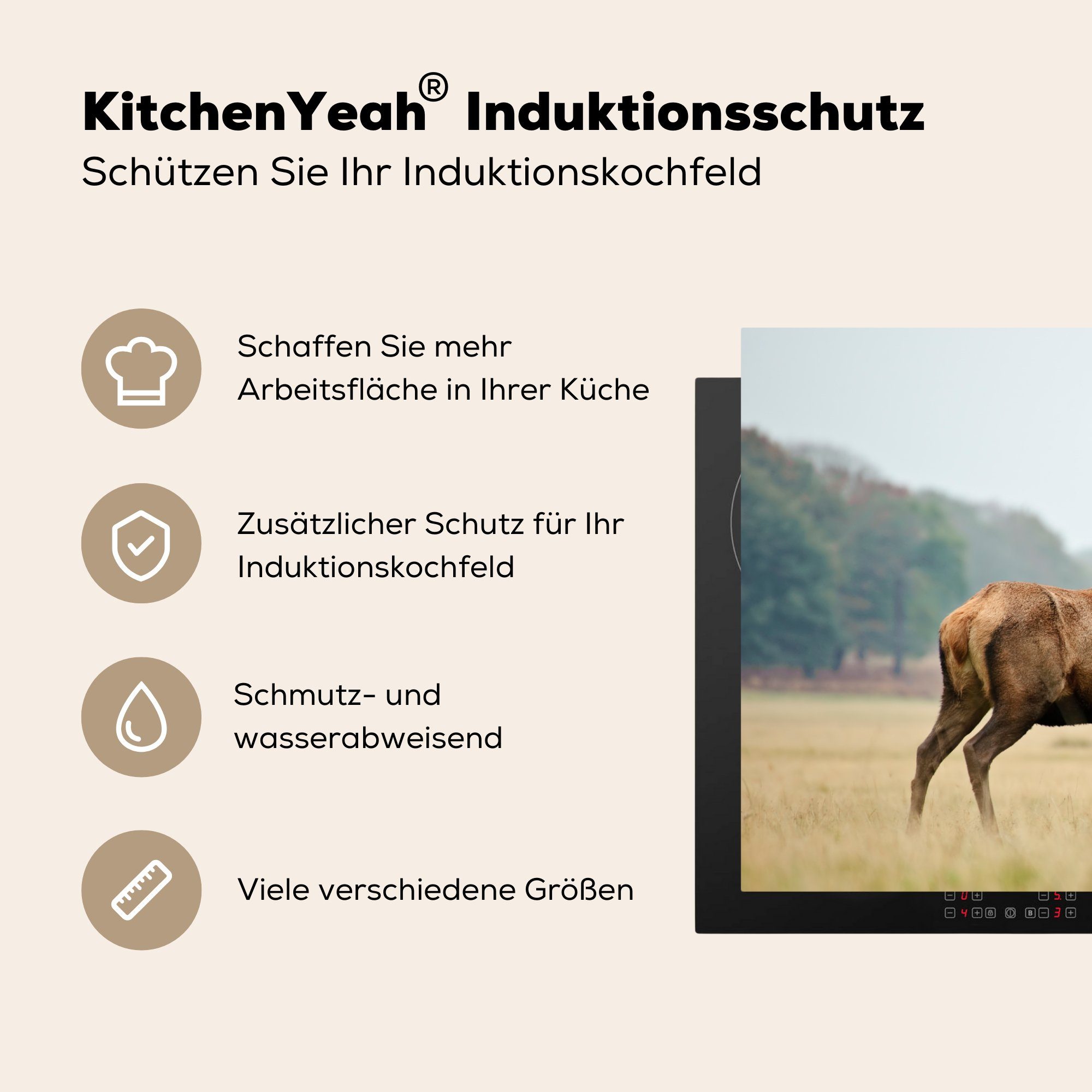 (1 Hirsche - Induktionskochfeld Schutz cm, MuchoWow für Vinyl, Ceranfeldabdeckung Herdblende-/Abdeckplatte küche, die 81x52 Geweihe, Tiere - tlg),