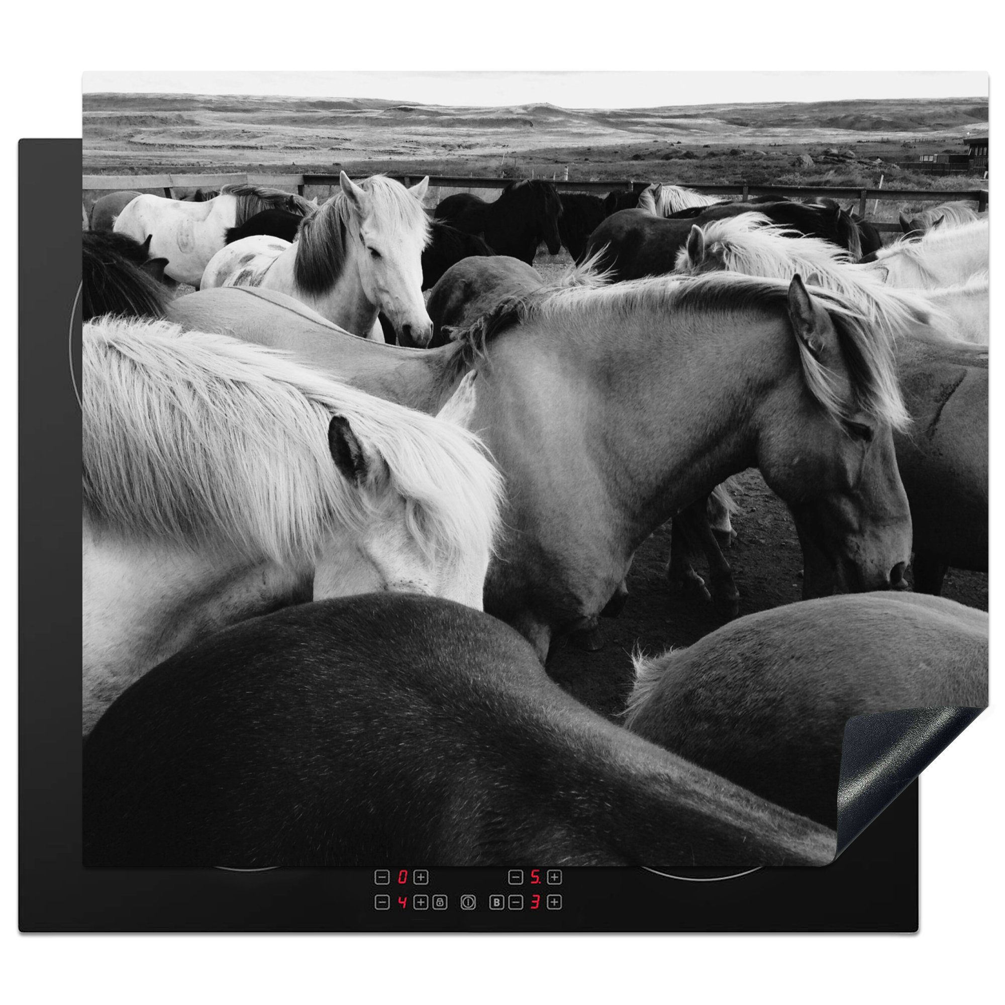 MuchoWow Herdblende-/Abdeckplatte Pferde - Wild - Schwarz - Weiß, Vinyl, (1 tlg), 57x51 cm, Induktionsschutz, Induktionskochfeld, Ceranfeldabdeckung