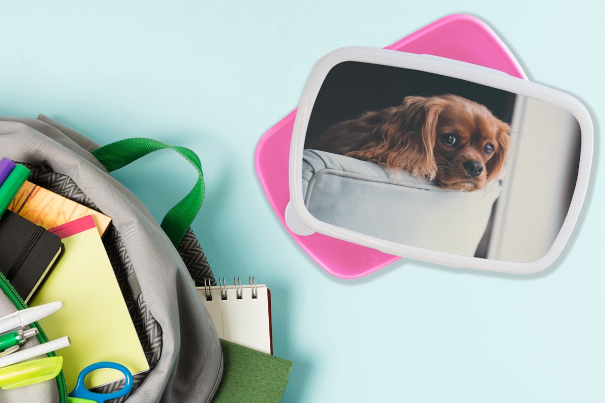 MuchoWow Lunchbox Hund - - Kunststoff Kunststoff, für Kinder, Brotbox Snackbox, Kopf, Mädchen, Stuhl Erwachsene, rosa Brotdose (2-tlg)