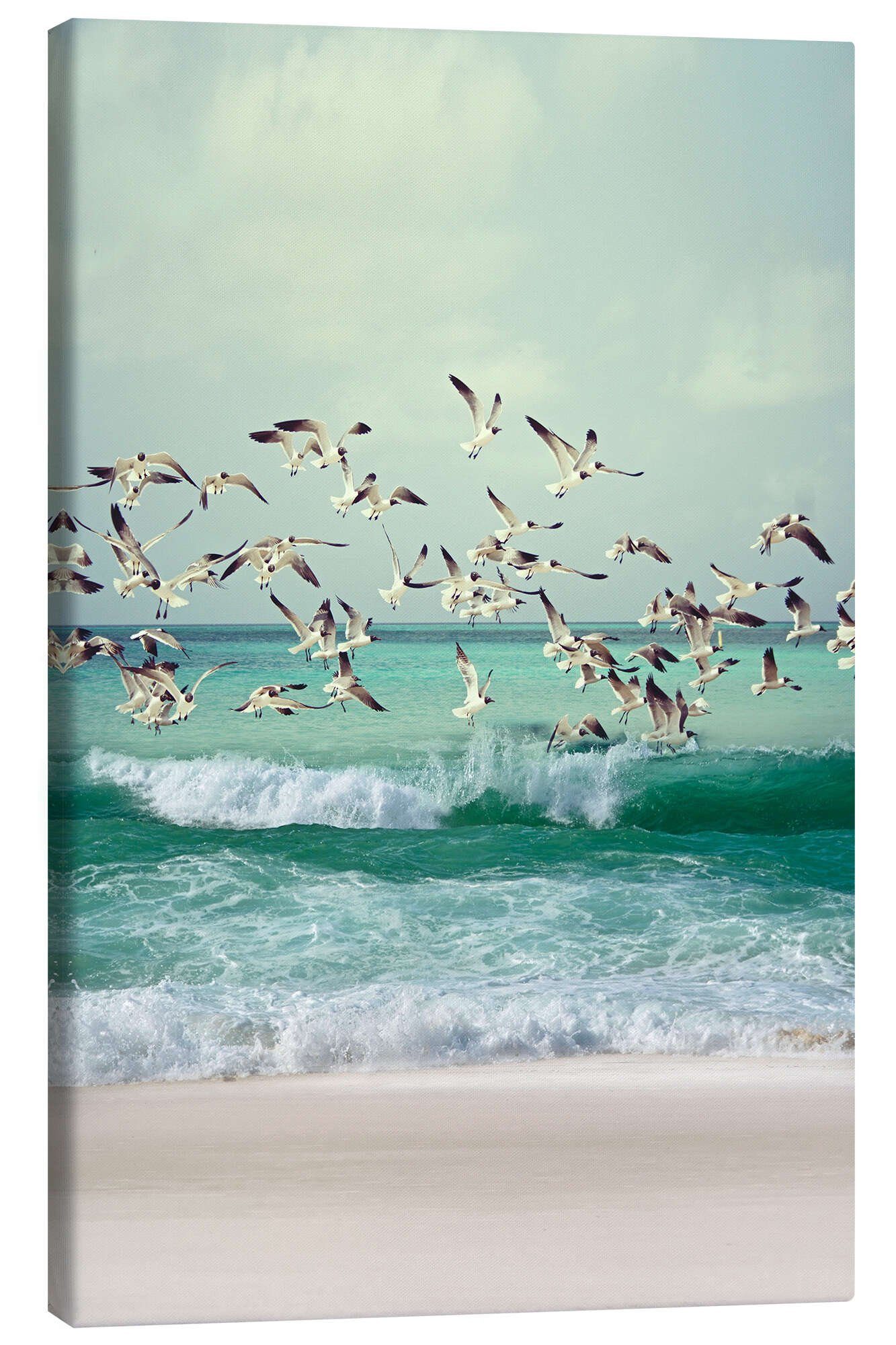 Posterlounge Wandbild Möwen am Strand, Art Couture, erhältlich als Poster, Leinwandbild, Wandsticker oder Acrylglasbild