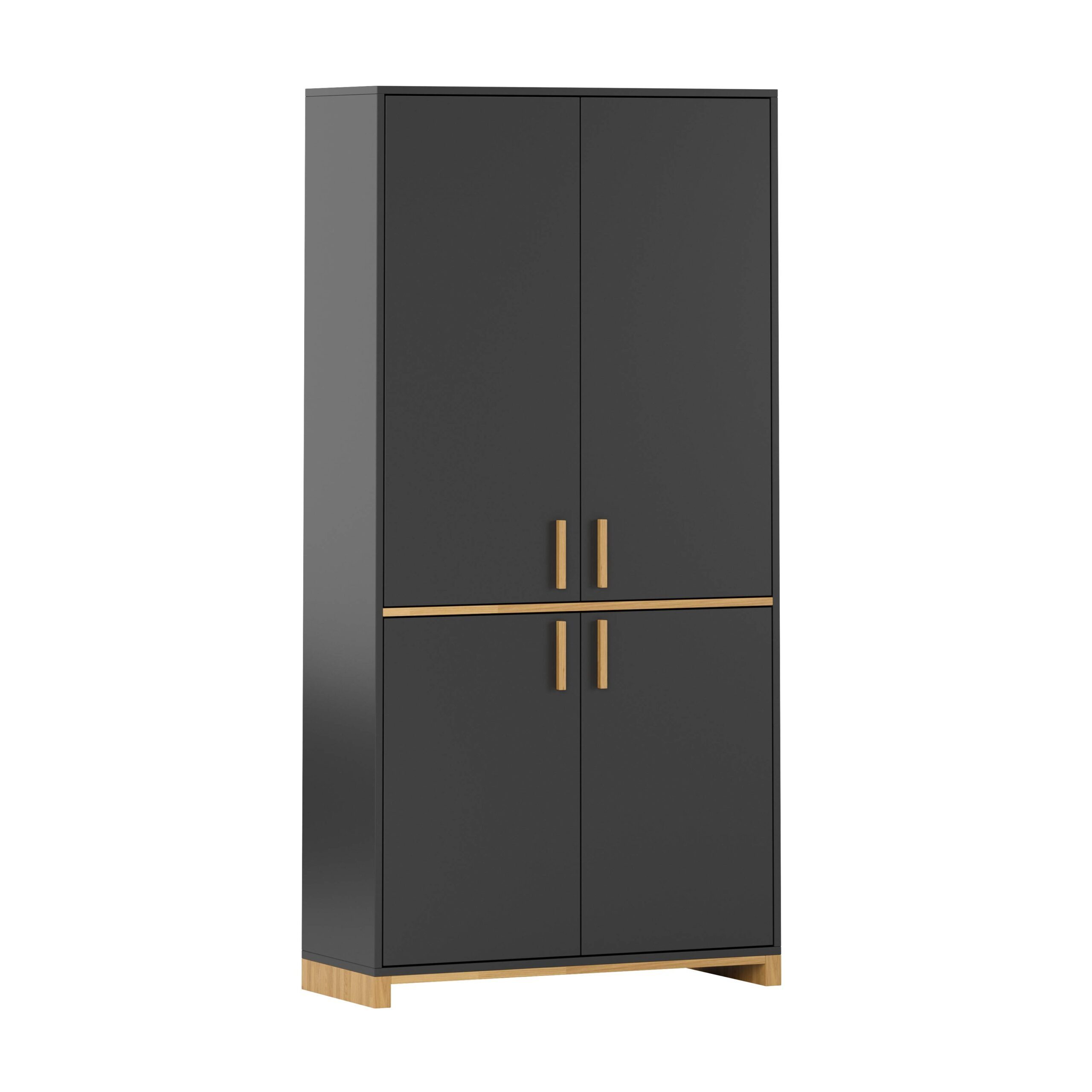 Deerhorn Aktenschrank Schrank 200x100 cm, 4 Türen, Soft-Close Tiefe: 40 cm