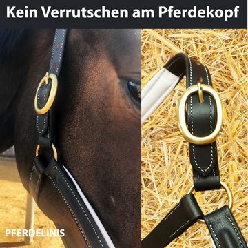 Pferdelinis Lederhalfter Lederhalfter Halfter Pferd Stallhalfter Pony Warmblut Cob, Kaltblut, verstellbar