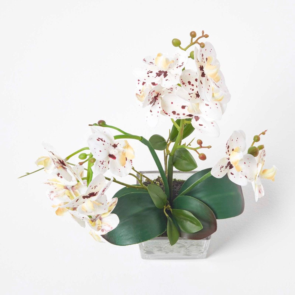 Kunstorchidee Künstliche weiße Phalaenopsis-Orchidee im Glas-Topf, 42 cm, Homescapes, Höhe 42 cm