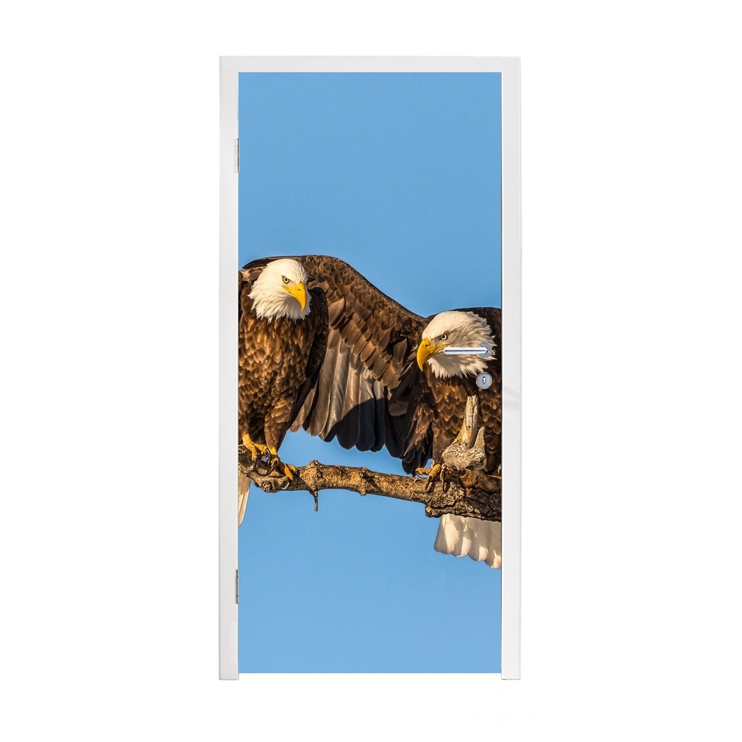 Türtapete Fototapete St), - Vogel Äste (1 Adler für Tür, Matt, - bedruckt, - MuchoWow Türaufkleber, Raubvögel - 75x205 Luft, cm