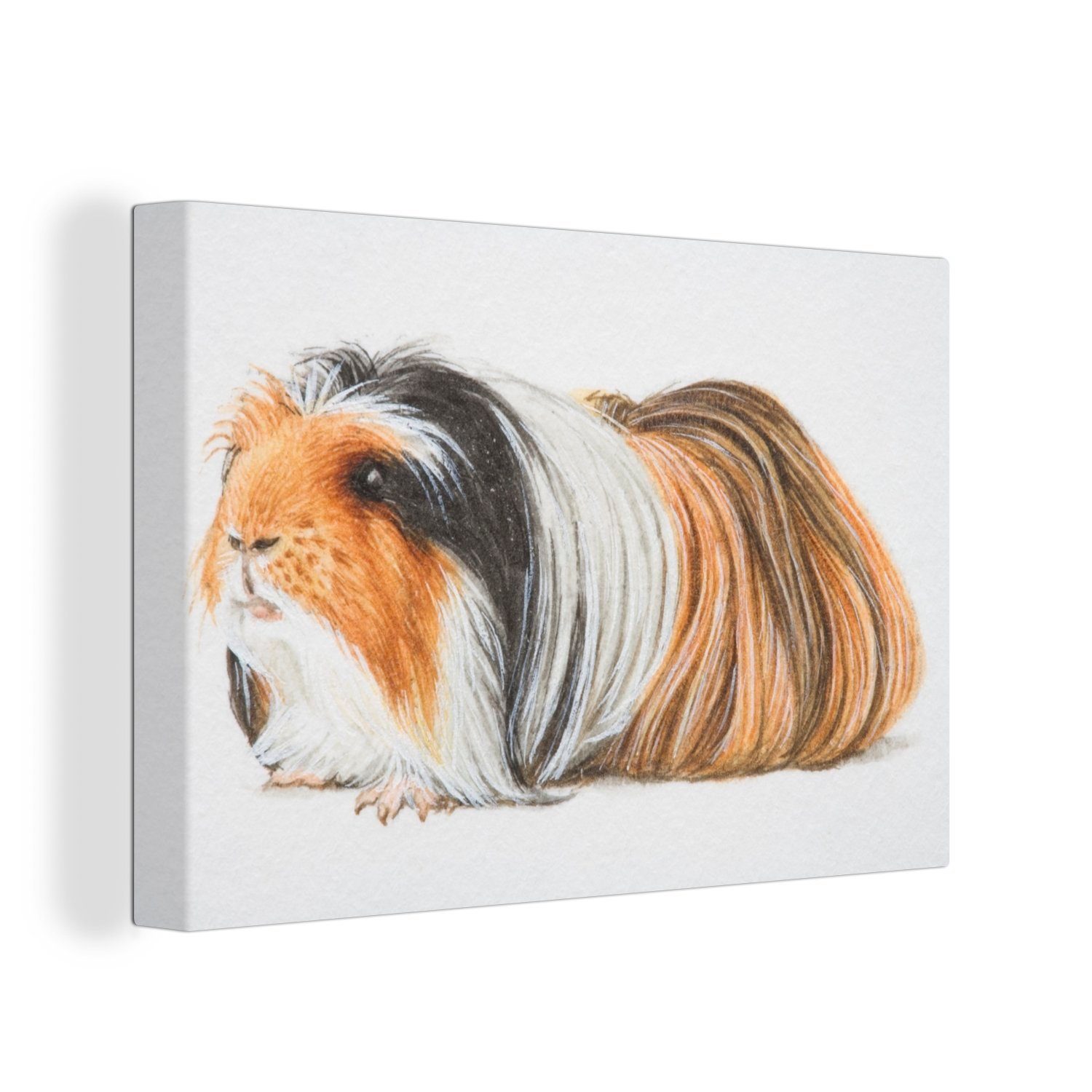 OneMillionCanvasses® Leinwandbild Illustration eines langhaarigen Meerschweinchens, (1 St), Wandbild Leinwandbilder, Aufhängefertig, Wanddeko, 30x20 cm