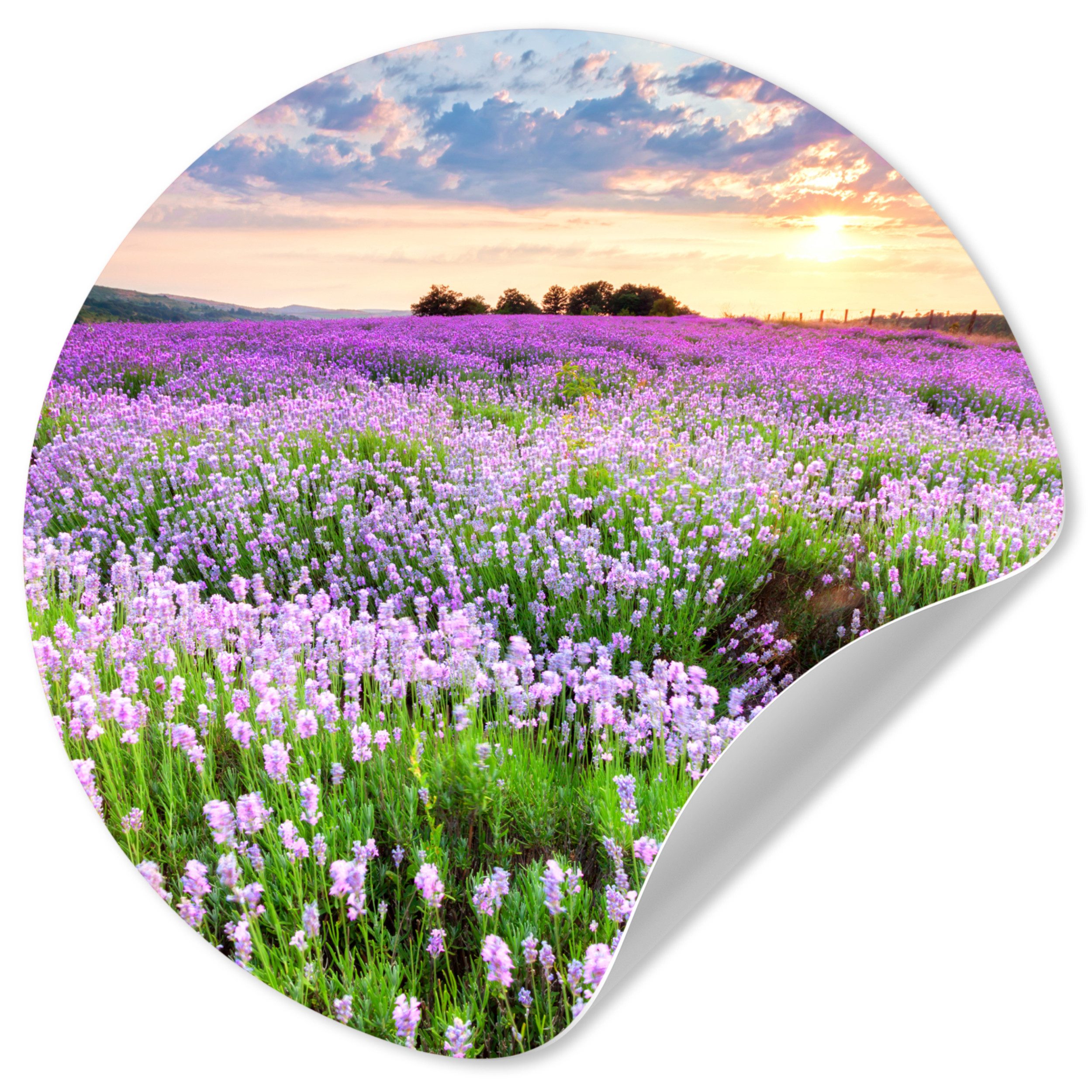 MuchoWow Wandsticker Blumen - Lavendel - Lila - Himmel - Sonnenuntergang - Wiese - Natur (1 St), Wandtattoo Selbstklebend, Wohnzimmer Deko Aufkleber, 30x30 cm
