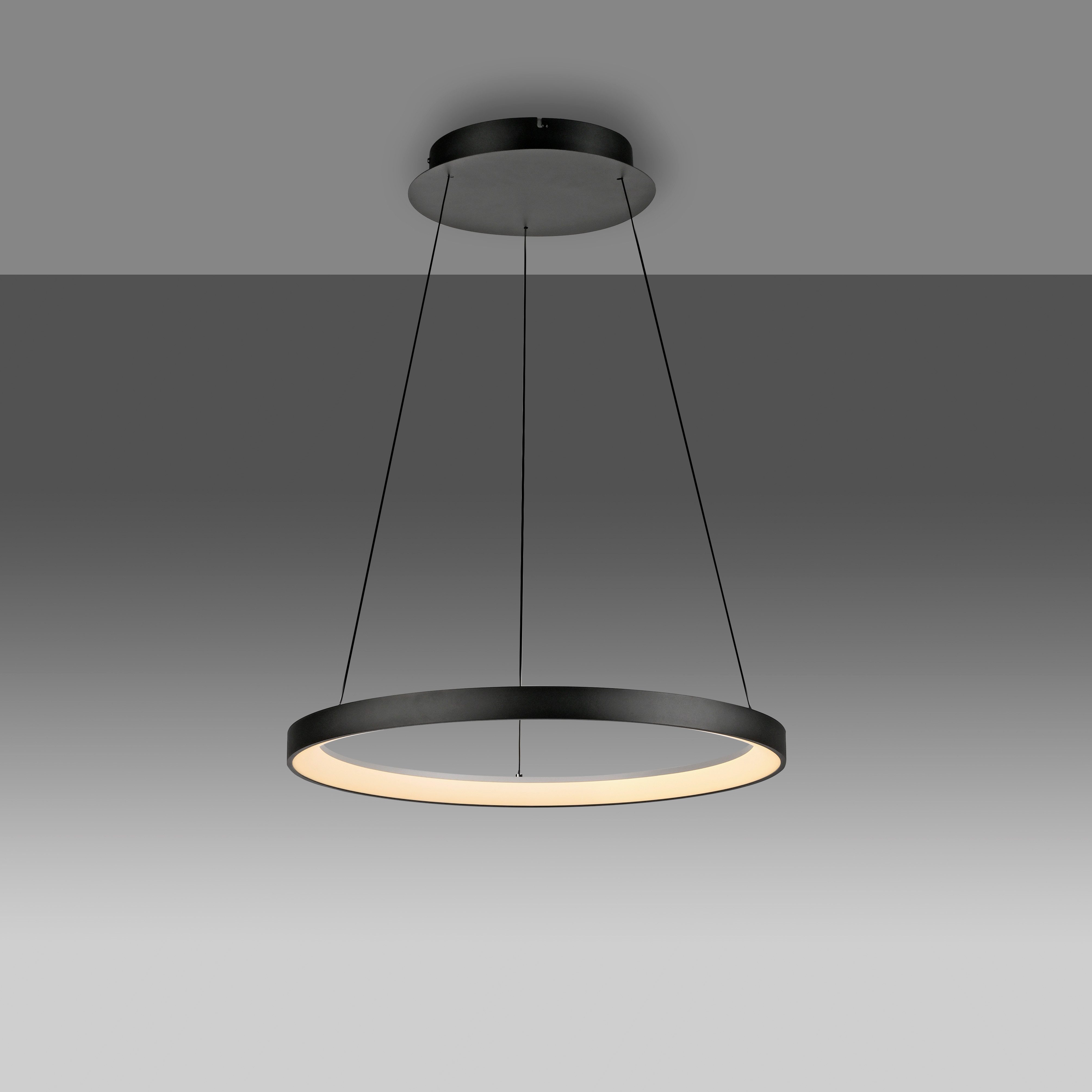Paul Neuhaus Pendelleuchte HOOP, Dimmfunktion, LED fest integriert, Warmweiß, LED, dimmbar, Simply Dim, Memory, nach Trennung vom Netz, Comfort Lift