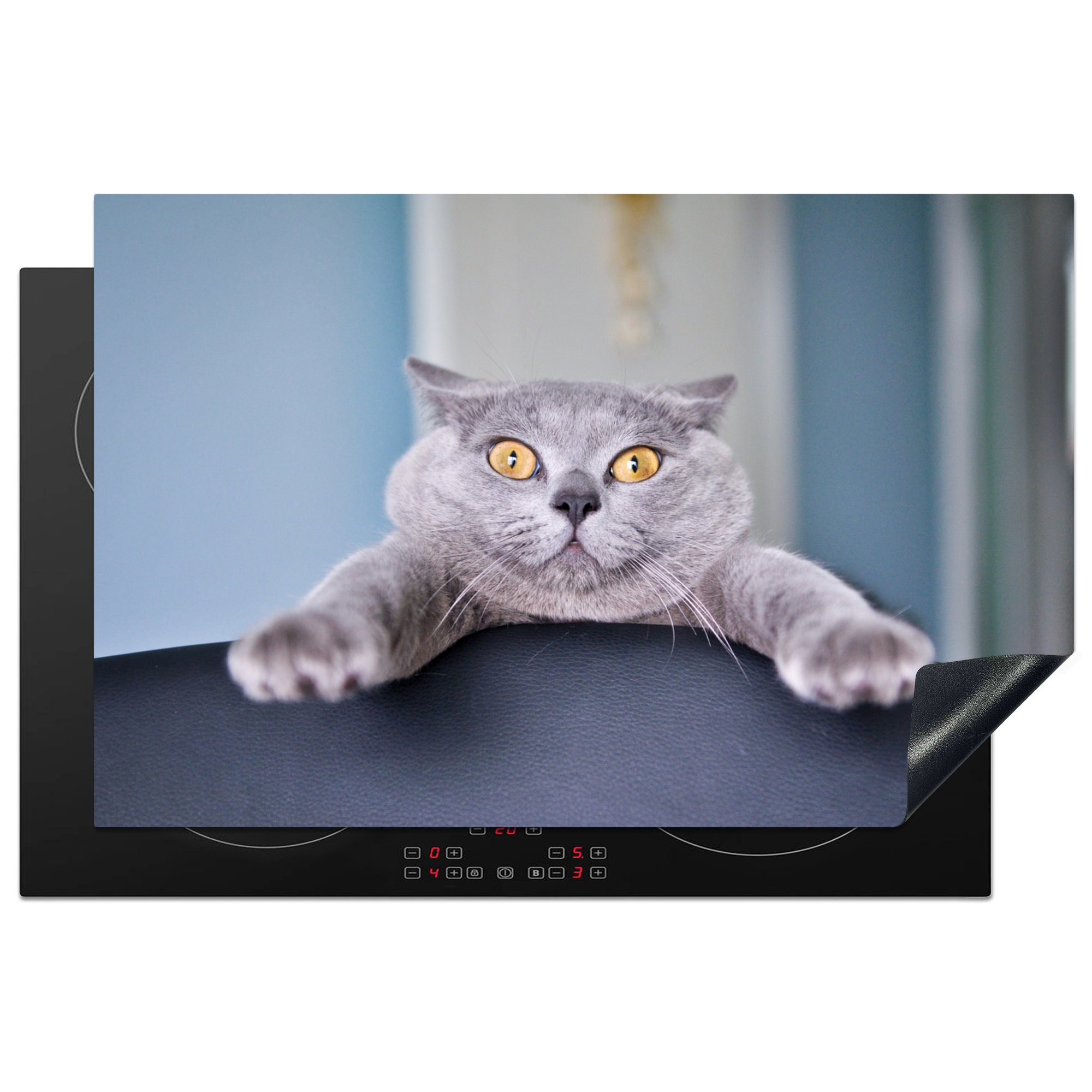 MuchoWow Herdblende-/Abdeckplatte Katze küche, die tlg), (1 Vinyl, cm, Stuhl, Induktionskochfeld Ceranfeldabdeckung - - Angst für 81x52 Schutz