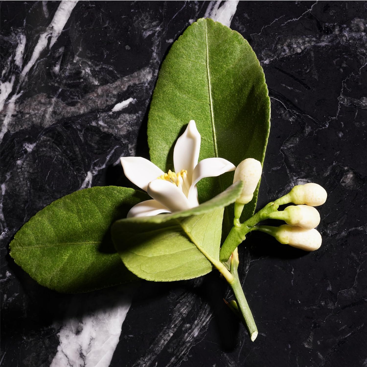 JOOP! Deo-Spray Homme Mild Deodorant Natural Spray 2×75 ml, Spar-Set, mit orientalisch-blumig-holzigem Duft