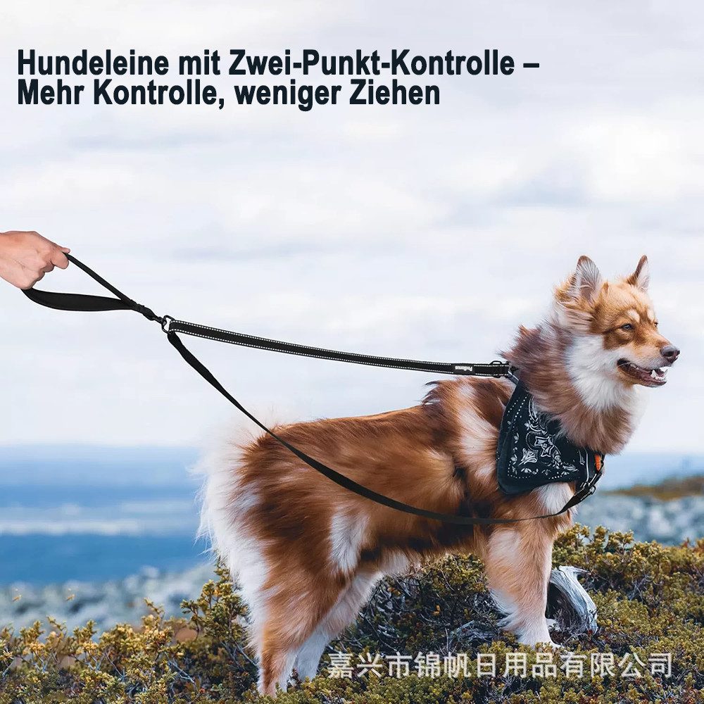 Ledander Hundeleine Anti-Zieh Hundeleine, 1.2m lange verstellbare Leine,doppelte Leine, reflektierende für Spaziergänge bei großen und mittleren Hunden – Bild 2 von 3