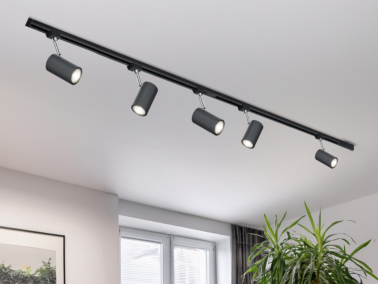 TRIO Leuchten Schienensystem-Sets komplett mit 5 Strahlern, Länge 202,5cm, ohne Leuchtmittel, 2-Phasen Lichtschienensystem für Wand & Decke, Deckenleuchte lang groß
