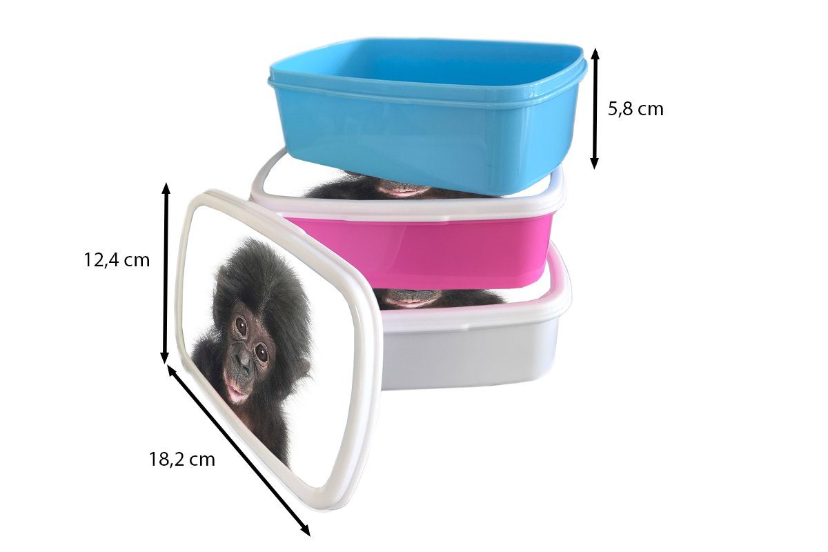 Affe Tiere Lunchbox - Brotdose, - Erwachsene, und Brotbox (2-tlg), Jungs Kinder weiß - Kunststoff, und MuchoWow Natur für für Mädchen Schimpanse,