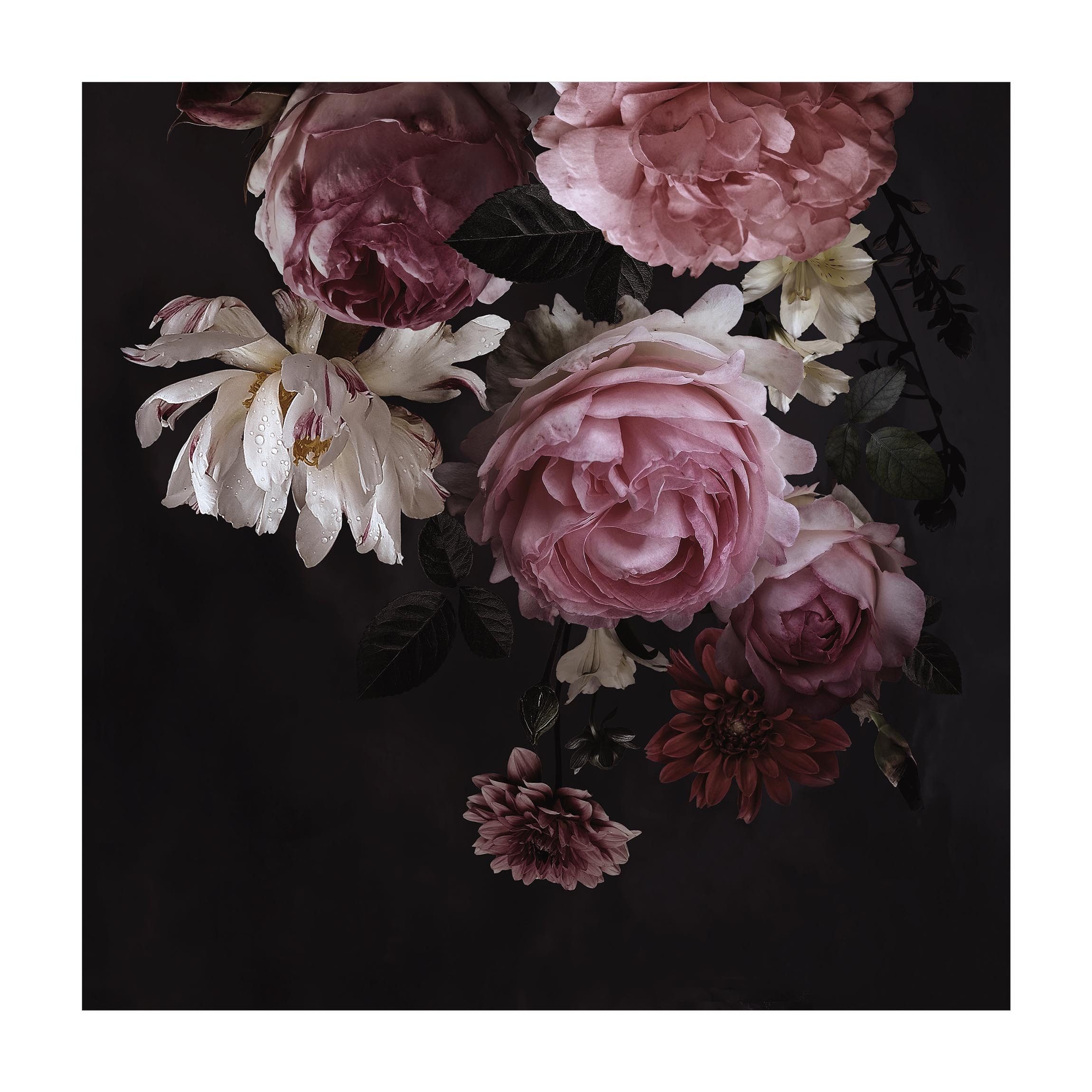 Bilderdepot24 Teppich Vinyl Wohnzimmer Schlafzimmer Flur Küche Blumen Vintage, quadratisch - rosa glatt, nass wischbar (Küche, Tierhaare) - Saugroboter & Bodenheizung geeignet