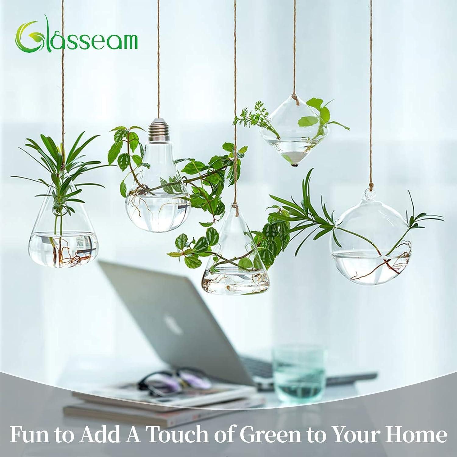 LuxusKollektion Blumenampel Hängende Glas Pflanzgefäße Wasserpflanzen günstig online kaufen