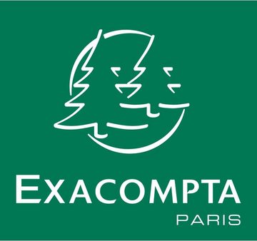 ExaClair Organisationsmappe EXACOMPTA Postmappe A4 gelb