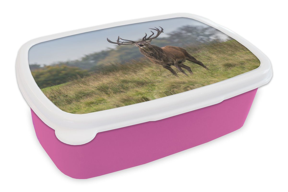 MuchoWow Lunchbox Hirsche - Kunststoff, Erwachsene, Brotbox rosa - Kunststoff Kinder, Mädchen, Geweihe Gras, für Snackbox, (2-tlg), Brotdose