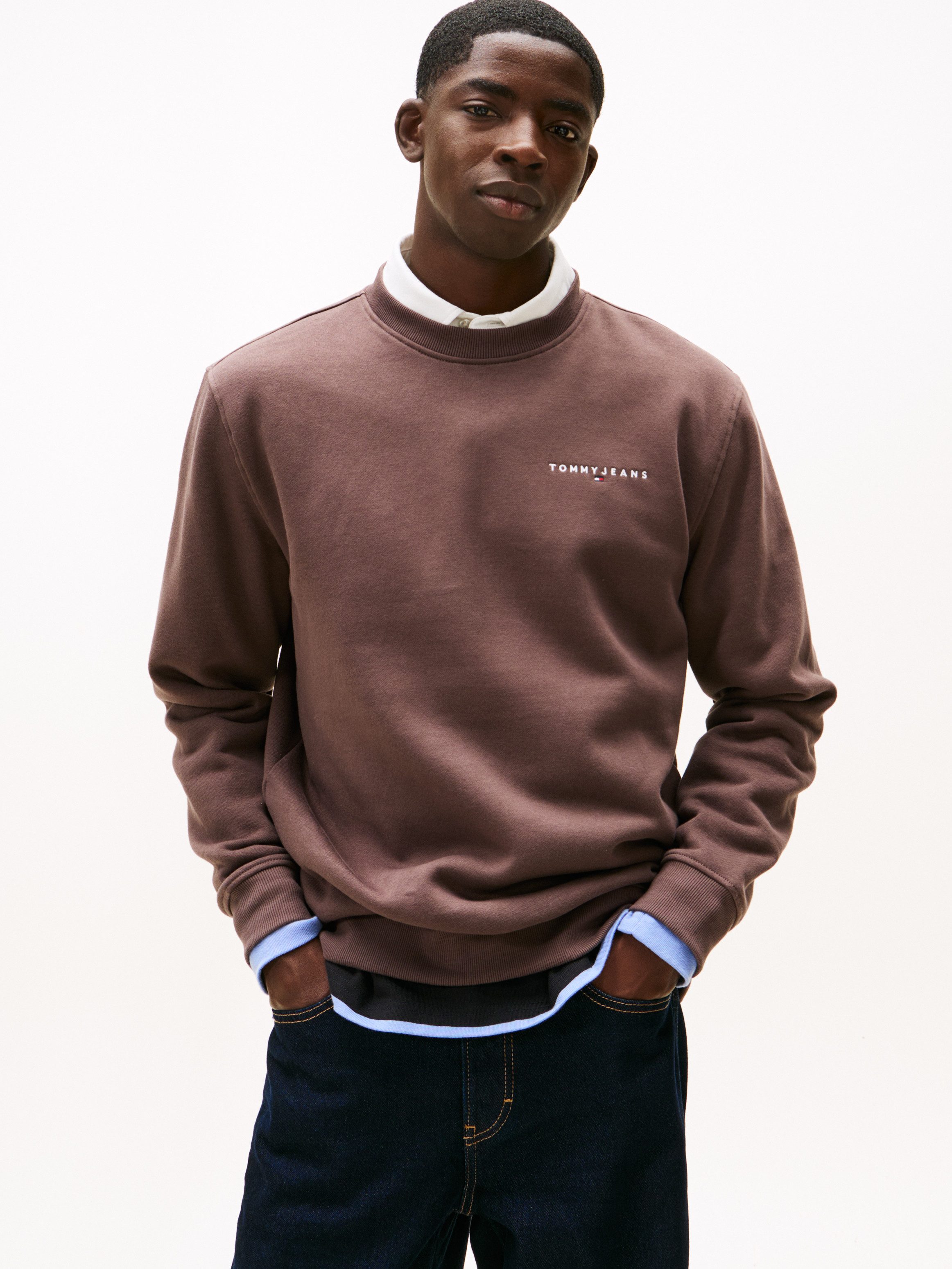 Tommy Jeans Sweatshirt TJM REG LINEAR günstig online kaufen