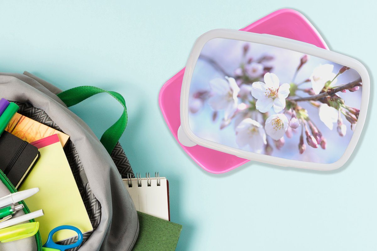 Lunchbox Erwachsene, Mädchen, rosa - für Brotbox Kunststoff Sakura MuchoWow - Zweig, Blumen Snackbox, Brotdose (2-tlg), Kinder, Kunststoff,