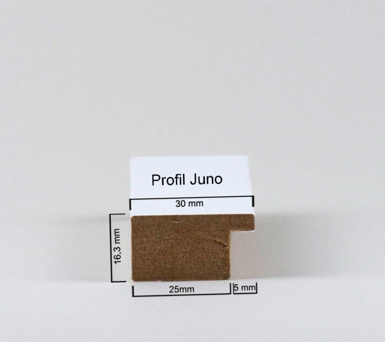 myposterframe Einzelrahmen Juno Bilderrahmen Weiß Stück), 20x30 MDF cm, (1 Fotorahmen, matt