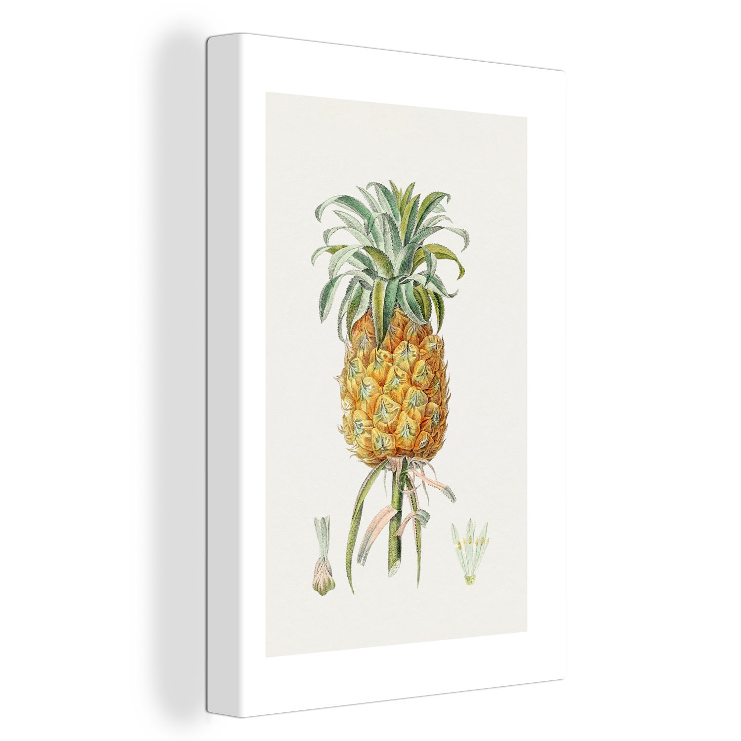 OneMillionCanvasses® Leinwandbild Ananas - Obst - Lebensmittel, (1 St), Leinwandbild fertig bespannt inkl. Zackenaufhänger, Gemälde, 20x30 cm