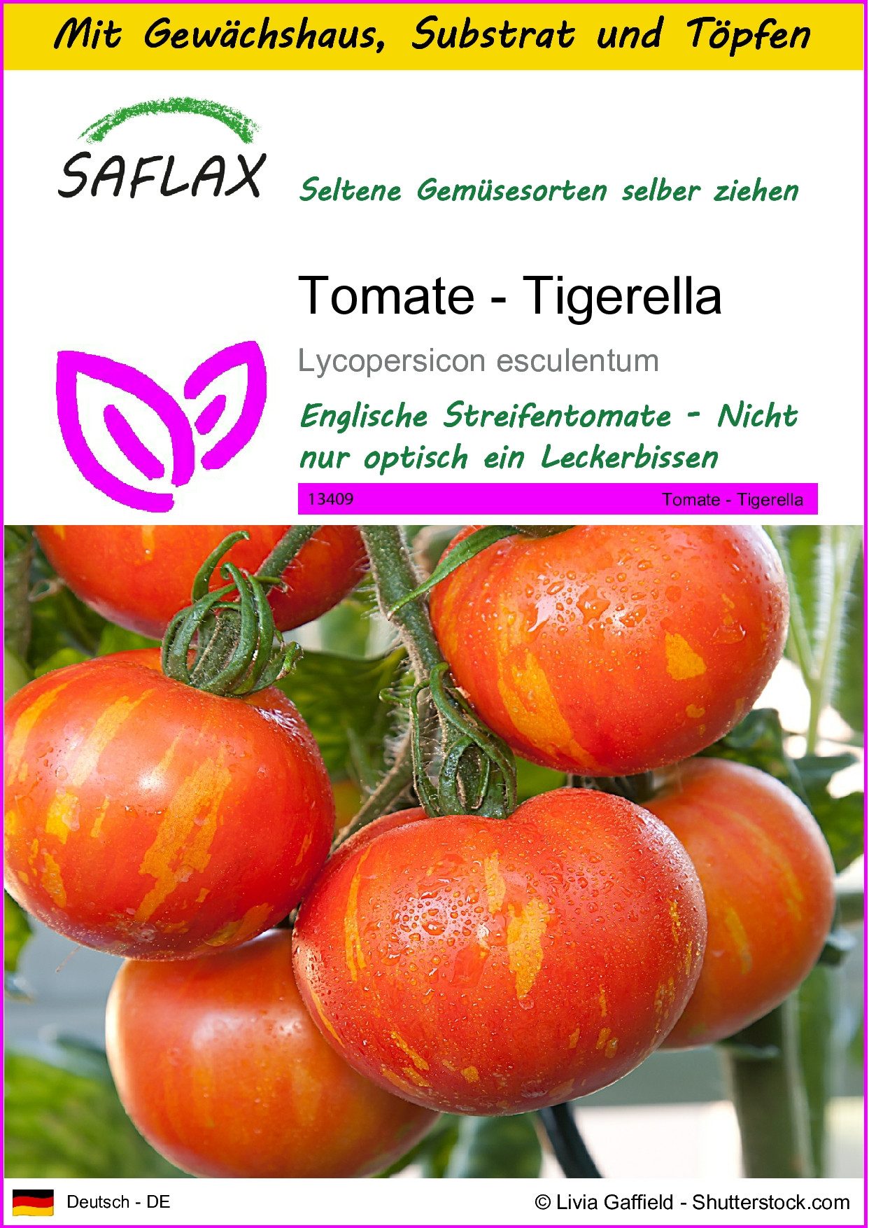 Gemüsesamen SAFLAX - Anzuchtset - Tomate - Tigerella