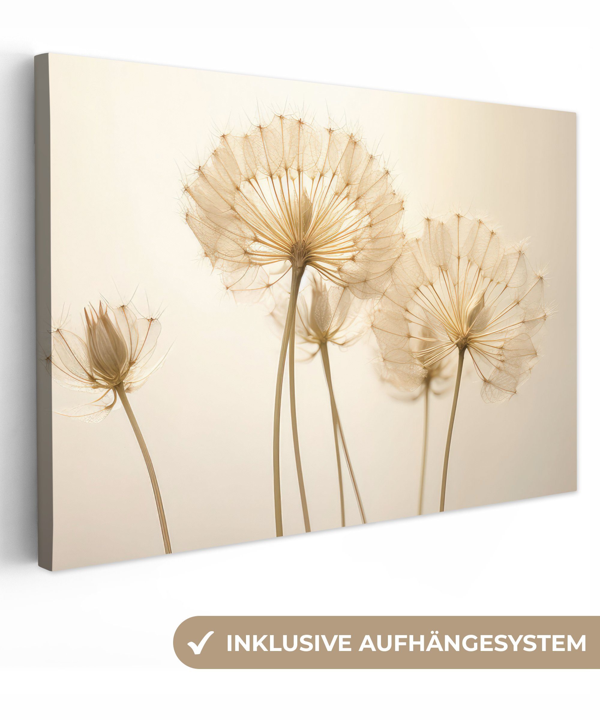 - Botanisch Aufhängefertig, Wandbild St), Leinwandbilder, Blumen, Sonnenlicht Wanddeko, cm - OneMillionCanvasses® Leinwandbild (1 Löwenzahn 30x20 -