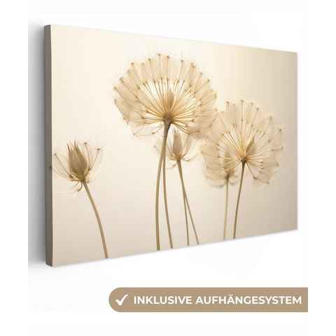 OneMillionCanvasses® Leinwandbild Sonnenlicht - Löwenzahn - Botanisch - Blumen, (1 St), Wandbild Leinwandbilder, Aufhängefertig, Wanddeko, 30x20 cm