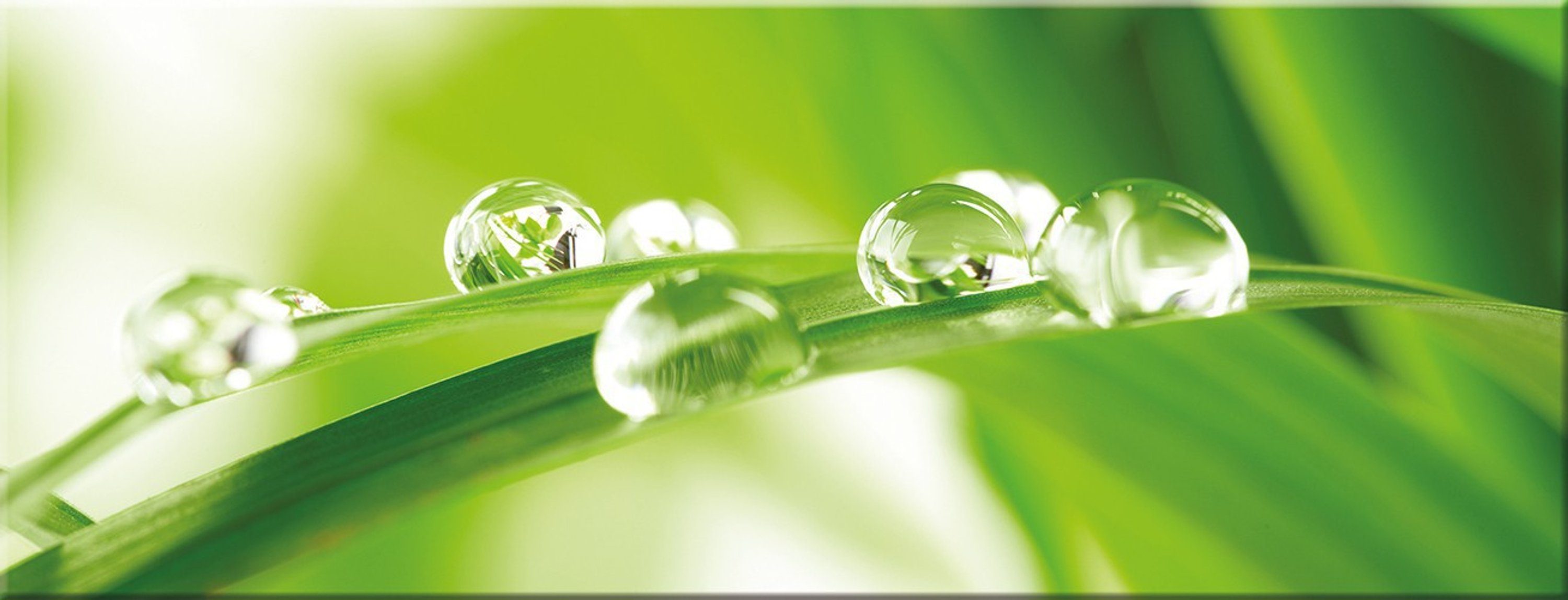 Natur: Blatt Blatt Wassertropfen mit Spa aus grün, Glas artissimo Wellness Glasbild Bild Glasbild 80x30cm